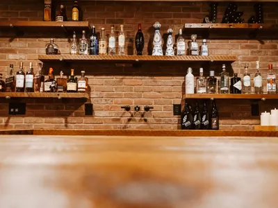 Burnsville Basement Remodel – Bar & Entertainment – photo 2