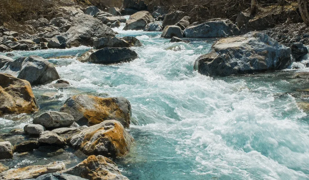 The Ultimate Guide to River Rock and Pebble Bathrooms